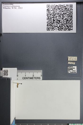 Media type: image;   Entomology 551253